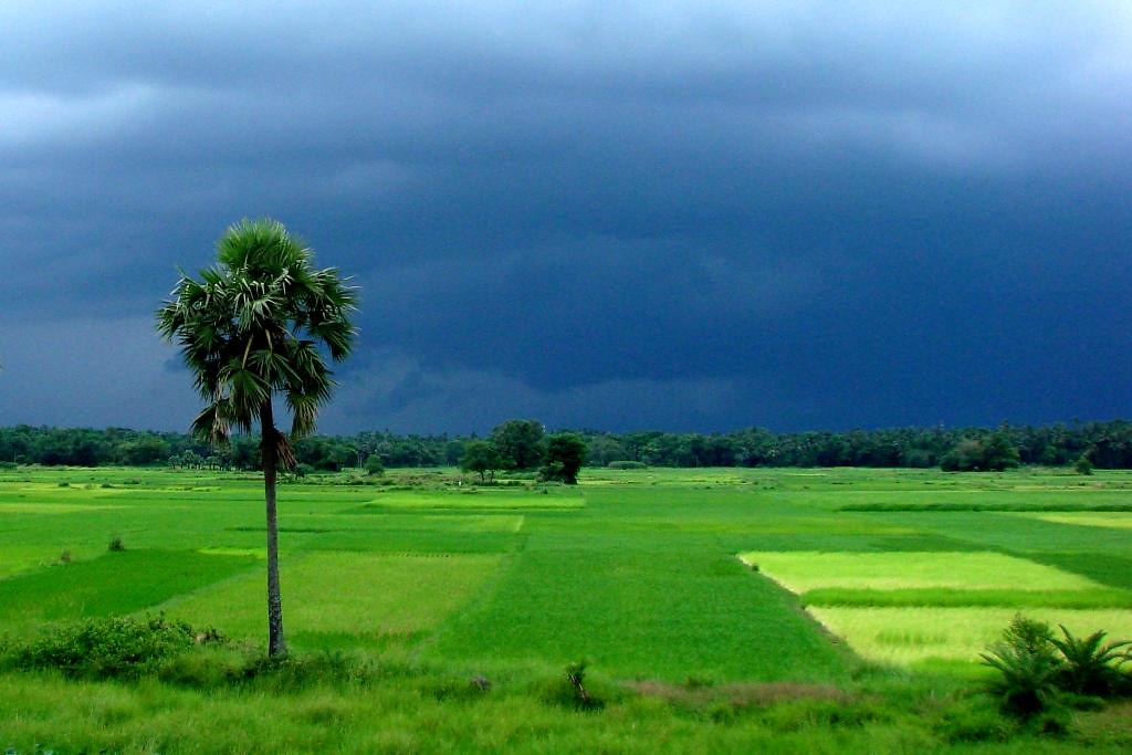 பருவமழைக் குறைவு, அணைகளின் நீர்மட்டத்தையும், அறுவடையையும் பாதிக்கும் !