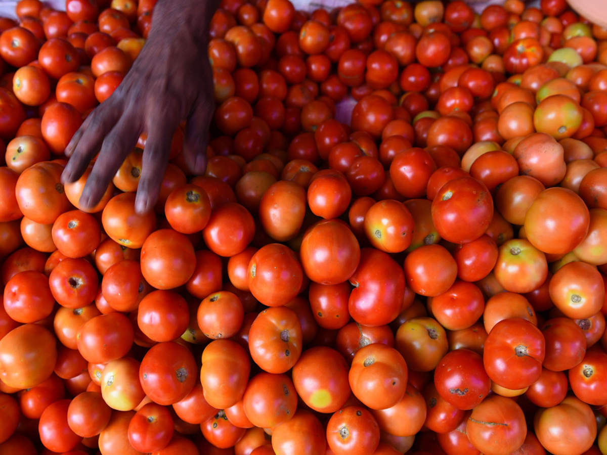 Tomato Price